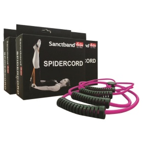 Sanctband SpiderCode Purple